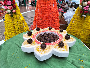 Fruit festival